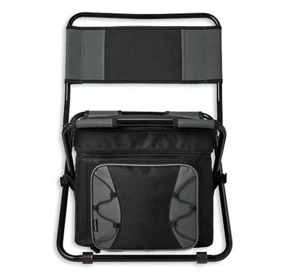 Create your own brand- Hot Sale Insulated Folding 40 Can Cooler Chair